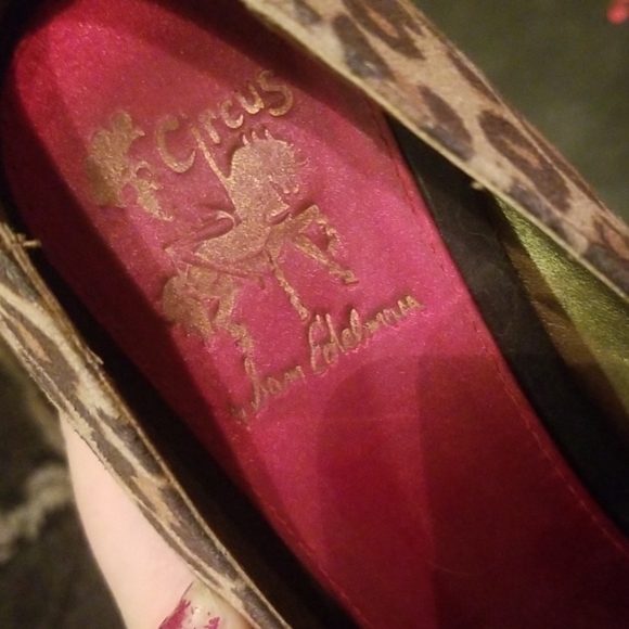 Circus by Sam Edelmen Heels - Picture 2 of 4